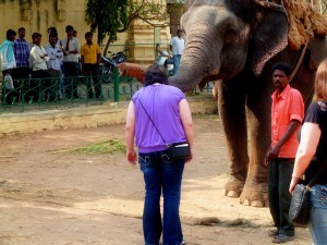 Elephant blessing Emily