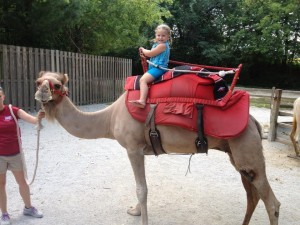 I had the 'sally the camel' song stuck in my head for ages after seeing the camels.