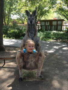 Blank Park Zoo Kangaroo