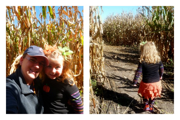 Pumpkin Patch Pizzazz Corn Maze