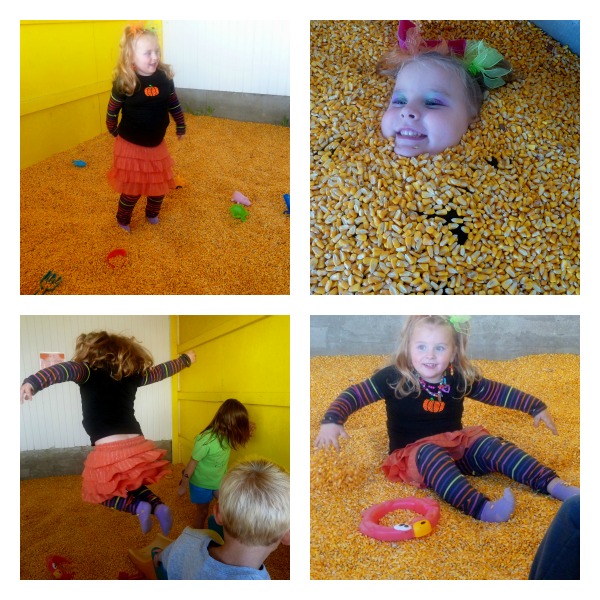 Pumpkin Patch Pizzazz Corn Bin