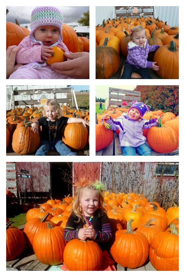 Pumpkin Patch Pizzazz 5 Years