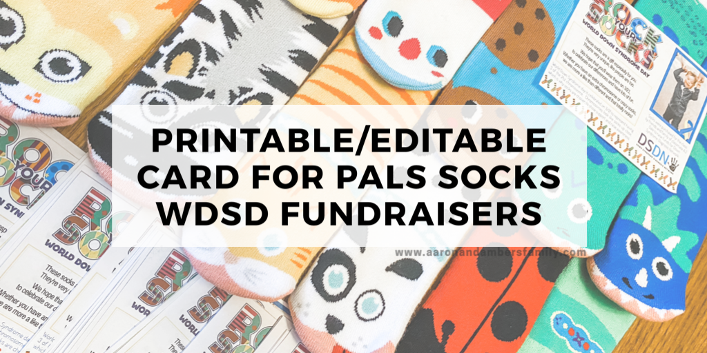 dsdnpalsfundraiser